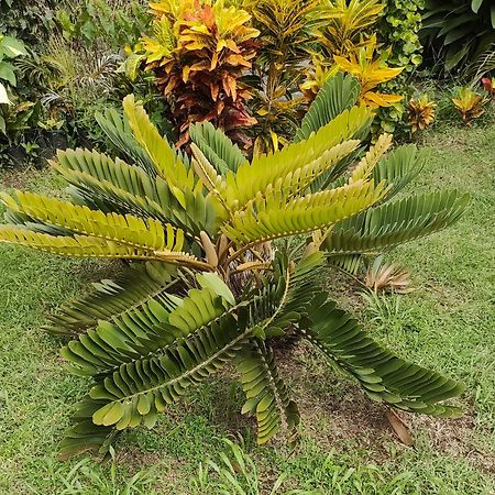 Bencastle Villa Gros-Islet Buitenkant foto