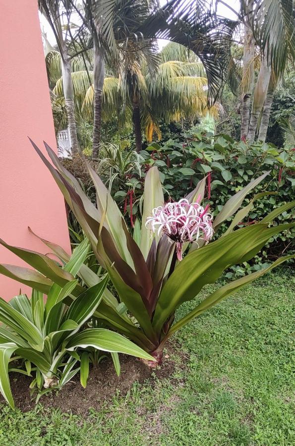 Bencastle Villa Gros-Islet Buitenkant foto